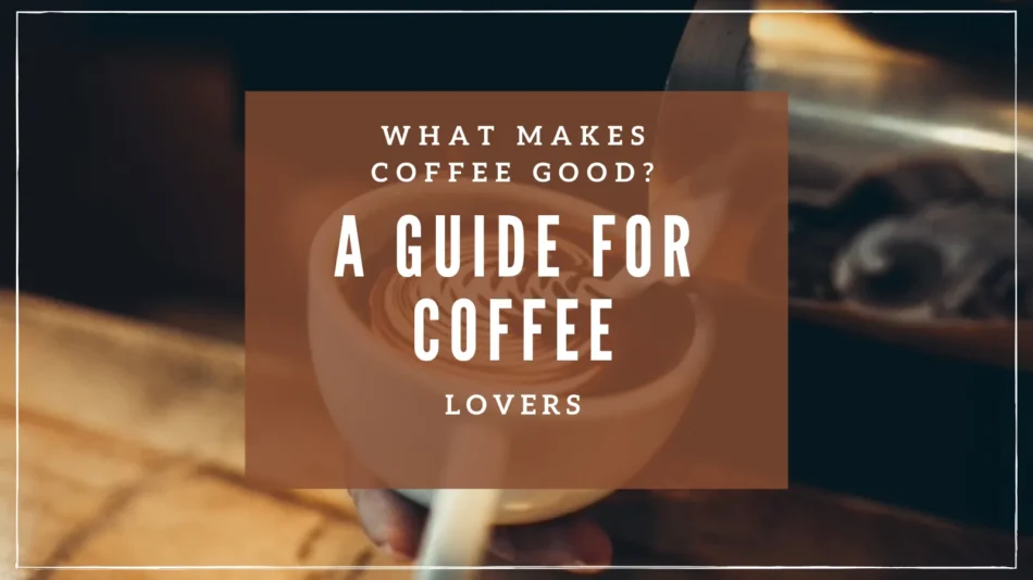What Makes Coffee Good? A Guide for Coffee Lovers